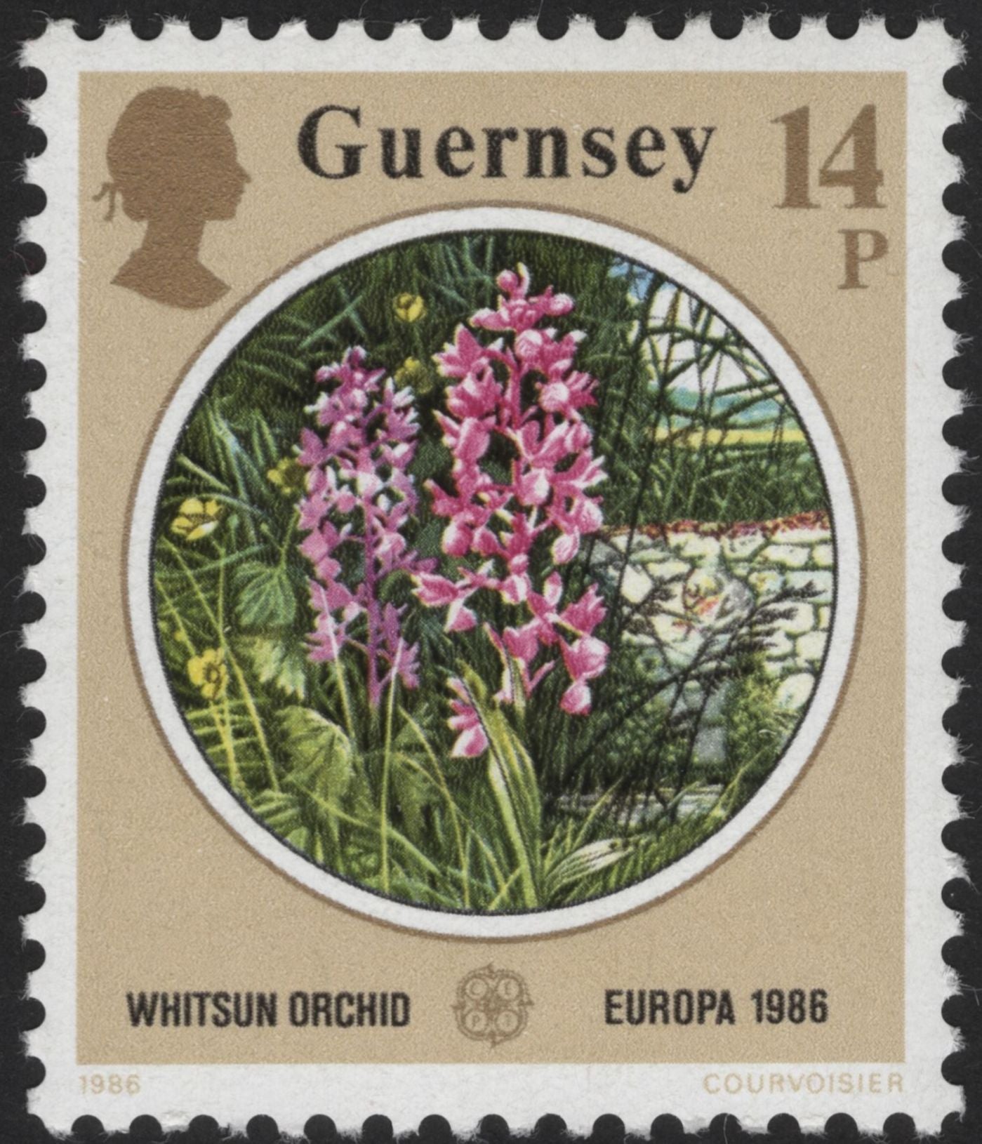SCG12127 - Guernsey 1986 Europa CEPT – Conservation and Natural Heritage (Pair)