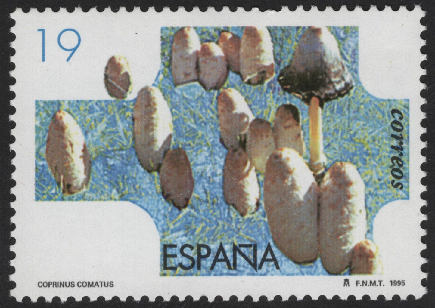 SCG12163 - Spain 1995 Wild Mushrooms – Coprinus comatus & Dermocybe cinnamomea