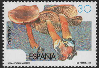 SCG12163 - Spain 1995 Wild Mushrooms – Coprinus comatus & Dermocybe cinnamomea