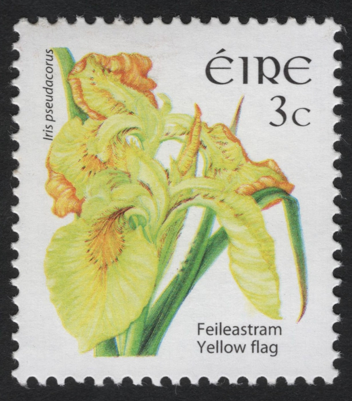 SCG8398 - Ireland 1977 “Yellow Flag Iris” (Iris pseudacorus) 3c