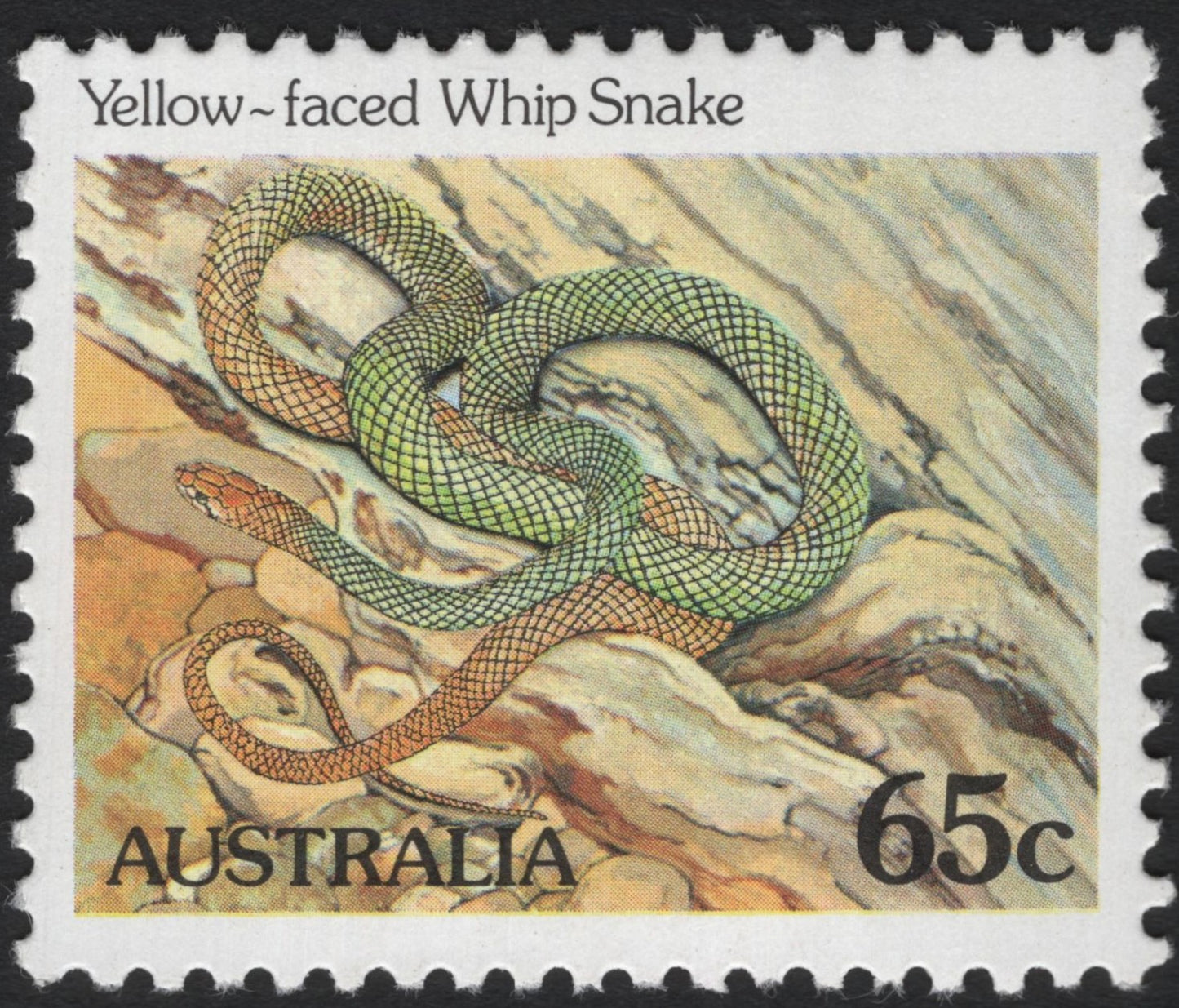 SCG8408 - Australia 1982 – Yellow-faced Whip Snake (65c)