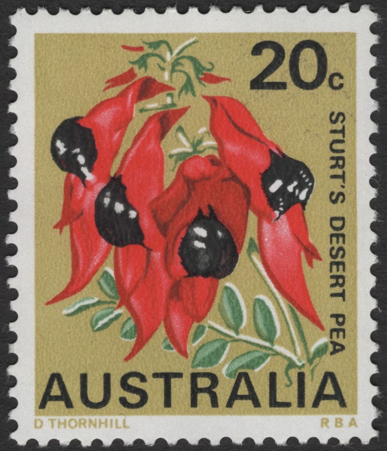 SCG12098 - Australia Native Flora Series – Sturt’s Desert Pea & Tasmanian Blue Gum Pair