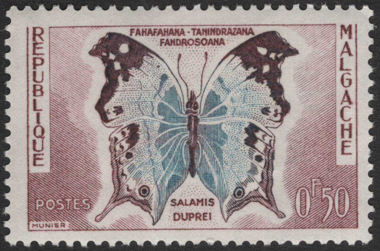 SCG11505 - Salamis Duprei Butterfly – 0.50f Wildlife Issue