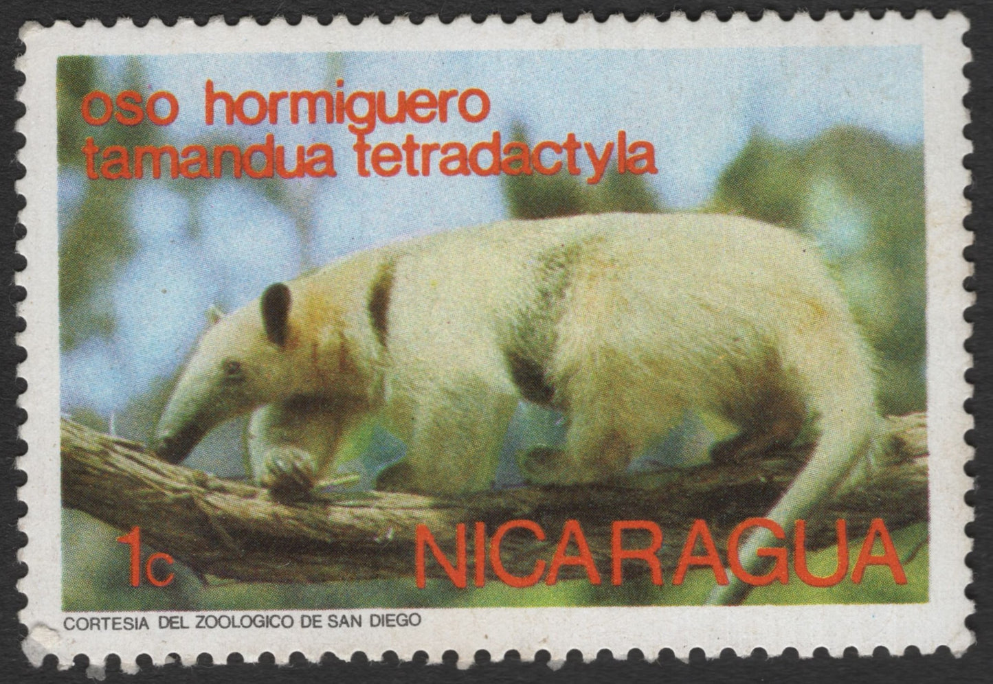SCG11509 - Nicaragua – Southern Tamandua (Oso Hormiguero) 1c Wildlife Stamp