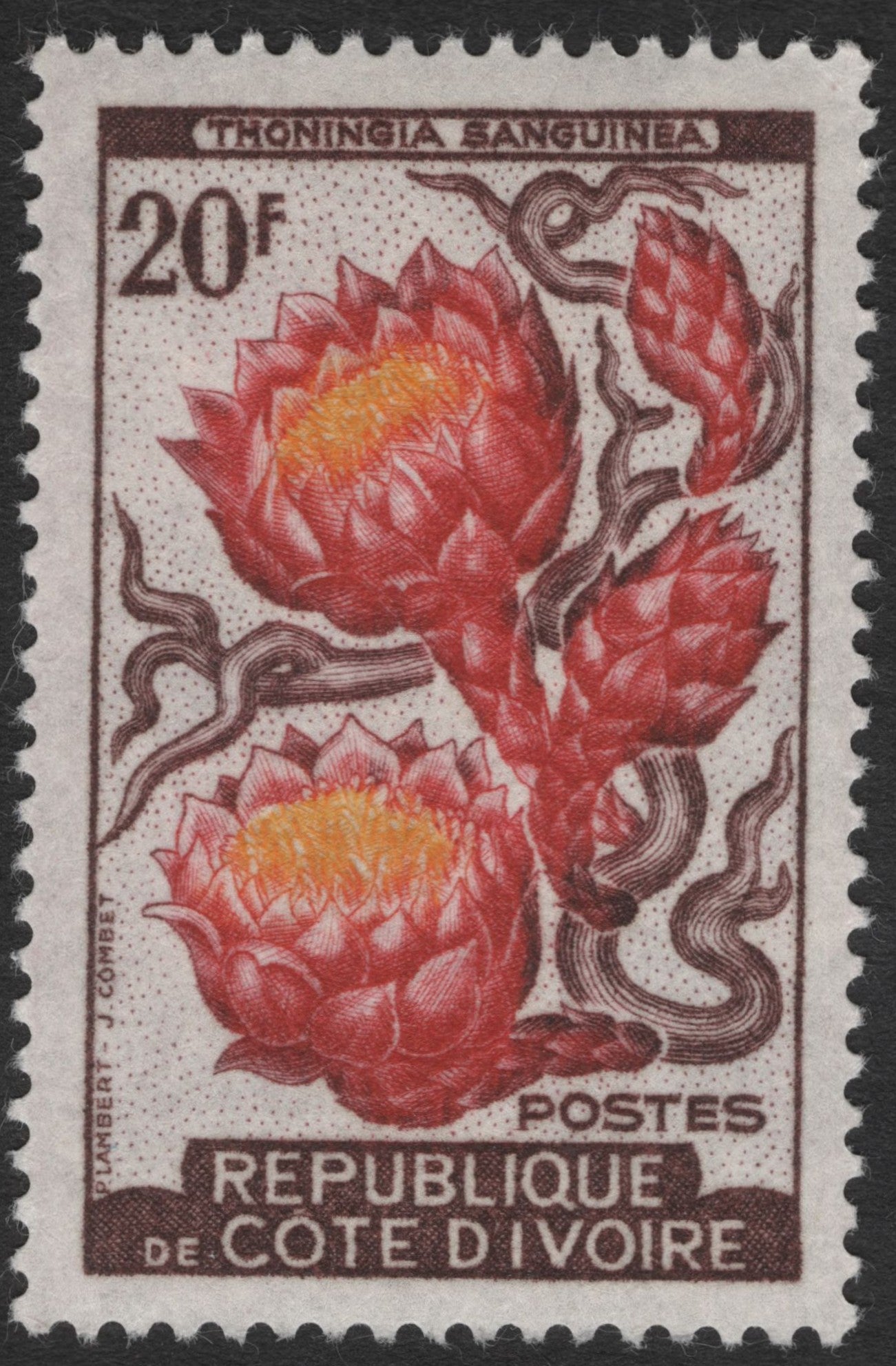 SCG11482 - Thonningia Sanguinea – 20 Francs Botanical Issue